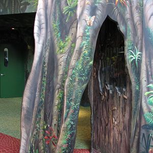 Rafikis Planet Watch - Conservation Station - Song of the Rainforest - Cock