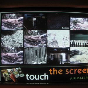 Rafikis Planet Watch - Conservation Station - Backstage Tour Kiosk