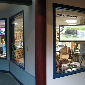 Rafikis Planet Watch - Conservation Station - Wildlife Tracking Center