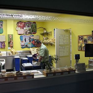 Rafikis Planet Watch - Conservation Station - Nutrition Center