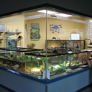 Rafikis Planet Watch - Conservation Station - Reptile Room