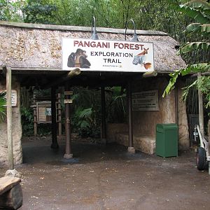 Pangani Forest Exploration Trail - Entry