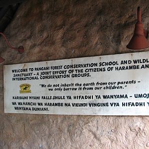 Pangani Forest Exploration Trail - Entry Sign