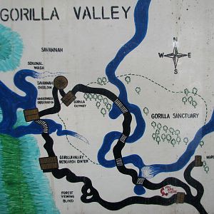 Pangani Forest Exploration Trail - Map