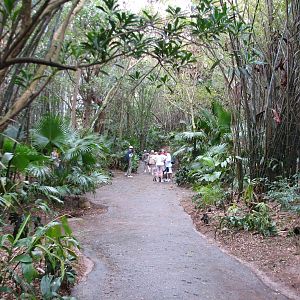 Pangani Forest Exploration Trail - Path