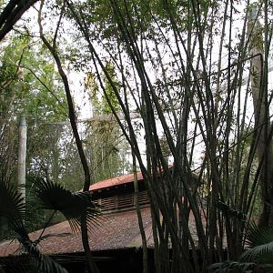 Pangani Forest Exploration Trail - Research Station