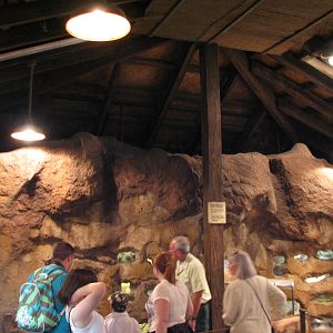 Pangani Forest Exploration Trail - Research Station