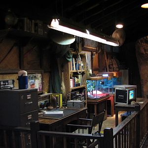 Pangani Forest Exploration Trail - Research Station