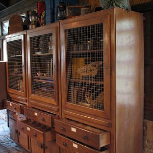 Pangani Forest Exploration Trail - Research Station