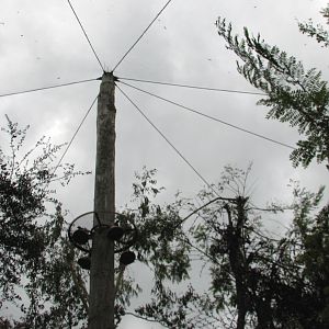 Pangani Forest Exploration Trail - Aviary