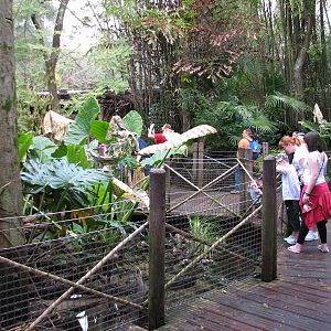 Pangani Forest Exploration Trail - Aviary