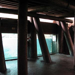 Pangani Forest Exploration Trail - Hippo Exhibit Viewing Area