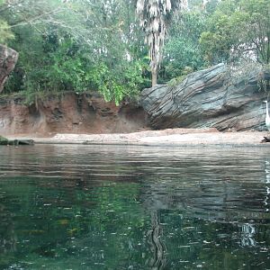 Pangani Forest Exploration Trail - Hippo Exhibit