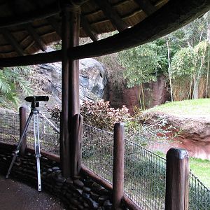 Pangani Forest Exploration Trail - Savanna Overlook Viewing Shelter