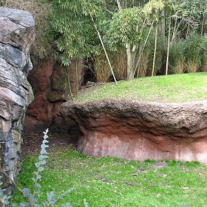 Pangani Forest Exploration Trail - Meerkat and Gerenuk Exhibits