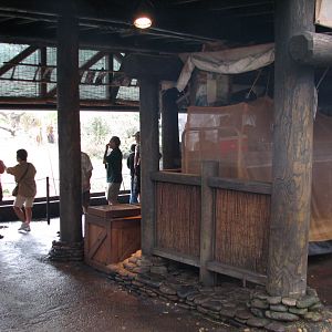 Pangani Forest Exploration Trail - Family Gorilla Exhibit Viewing Shelter