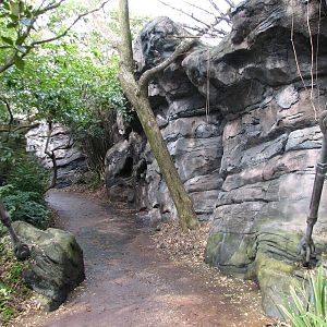 Pangani Forest Exploration Trail - Path