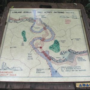 Pangani Forest Exploration Trail - Gorilla Exhibits Map