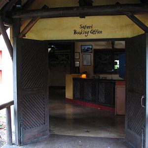 Kilimanjaro Safaris - Ride Queue