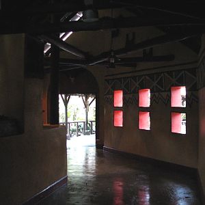 Kilimanjaro Safaris - Ride Queue