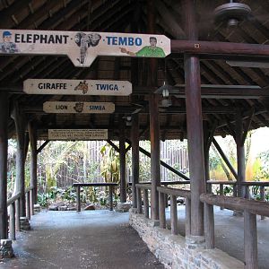Kilimanjaro Safaris - Ride Queue