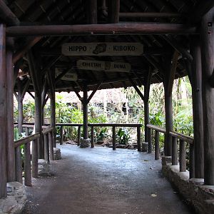 Kilimanjaro Safaris - Ride Queue