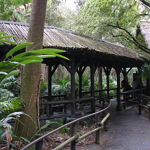 Kilimanjaro Safaris - Ride Queue