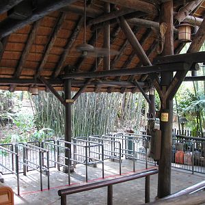 Kilimanjaro Safaris - Ride Loading Station