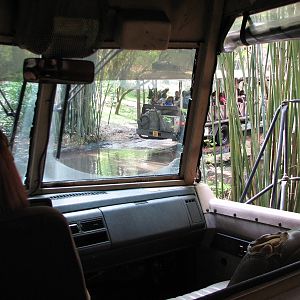 Kilimanjaro Safaris - Little Ituri Forest Entry