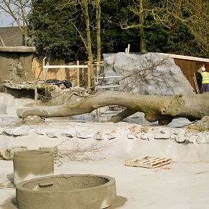 Chester Zoo Giant Otter Pool - 11/03/2010