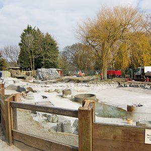 Chester Zoo Giant Otter Pool - 11/03/2010