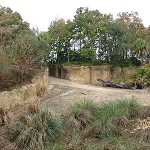 Kilimanjaro Safaris - Second African Elephant Exhibit
