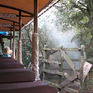 Kilimanjaro Safaris - Ride Finale Show Elements