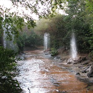 Kilimanjaro Safaris - Ride Finale Show Elements