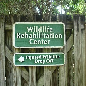 Wildlife Drop-off sign