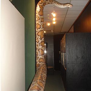 Snake handrail