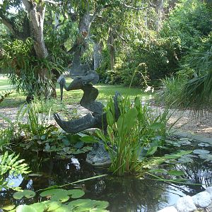 Pond/Sculpture