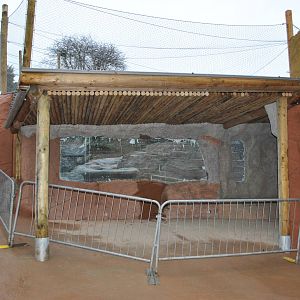 New Leopard Enclosure 30/12/09