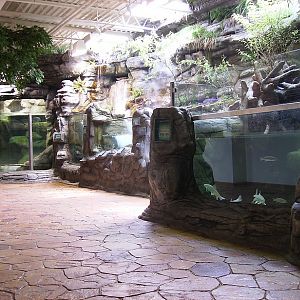 Hayes Family Ozark Stream