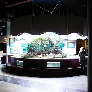 Oceans Room