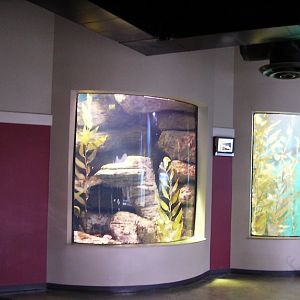 Oceans Room