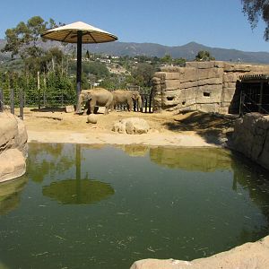 Asian Elephant Habitat