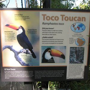 Toco Toucan Signage