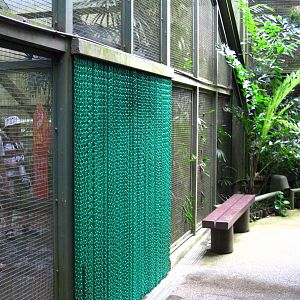 Southeast Asian Birds Aviary