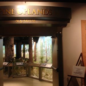 Museum display area en route to manatee aquarium