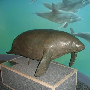 Manatee sculpture
