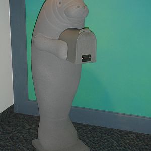 Manatee mailbox