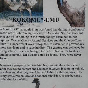 Kokomu - Emu story sign