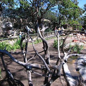 Cockatoo and Flamingo Habitats