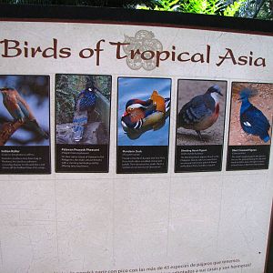 Wings of Asia Signage